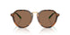 608973 - Red - Dark Brown