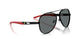 101/81 - Black - Dark Grey Polar
