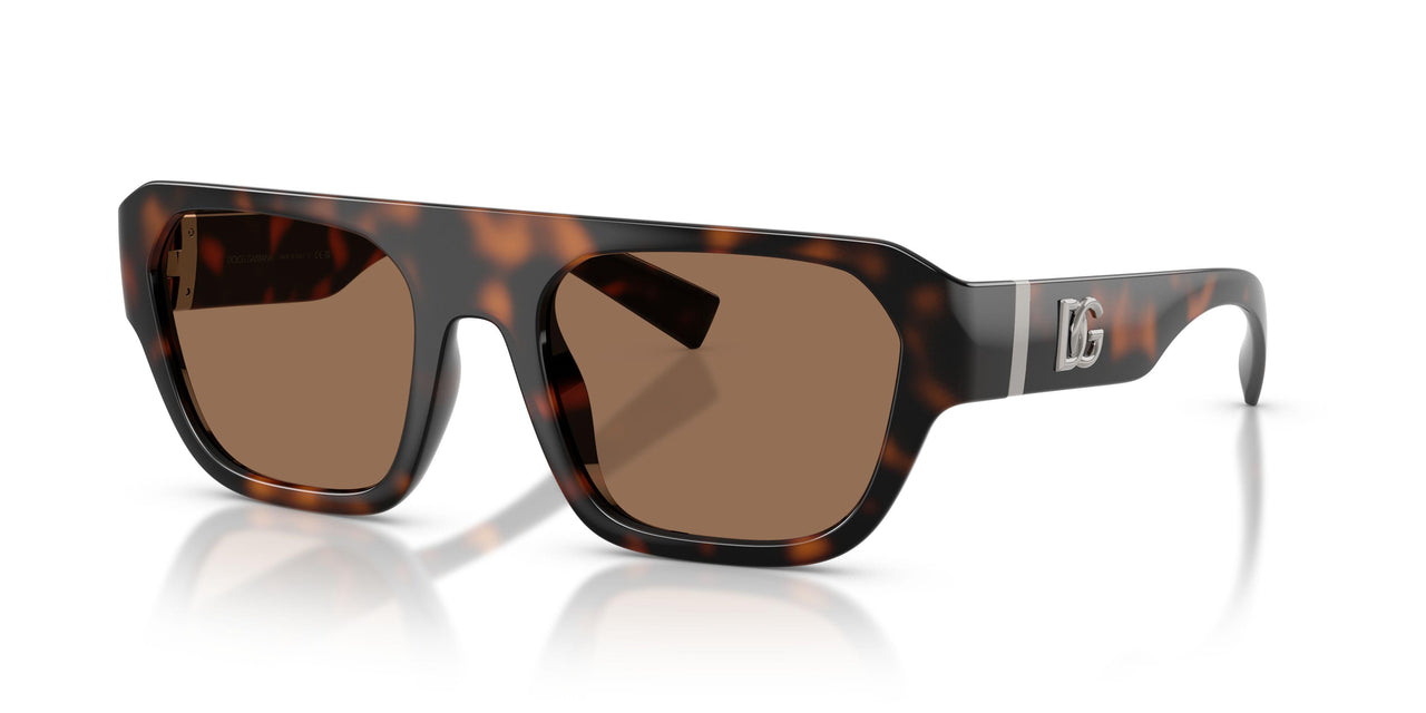 502/73 - Tortoise - Dark Brown