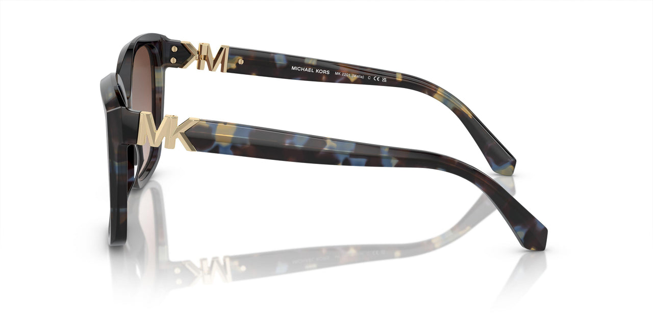 395213 - Bright Blue Tortoise - Brown Gradient