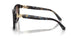 395213 - Bright Blue Tortoise - Brown Gradient