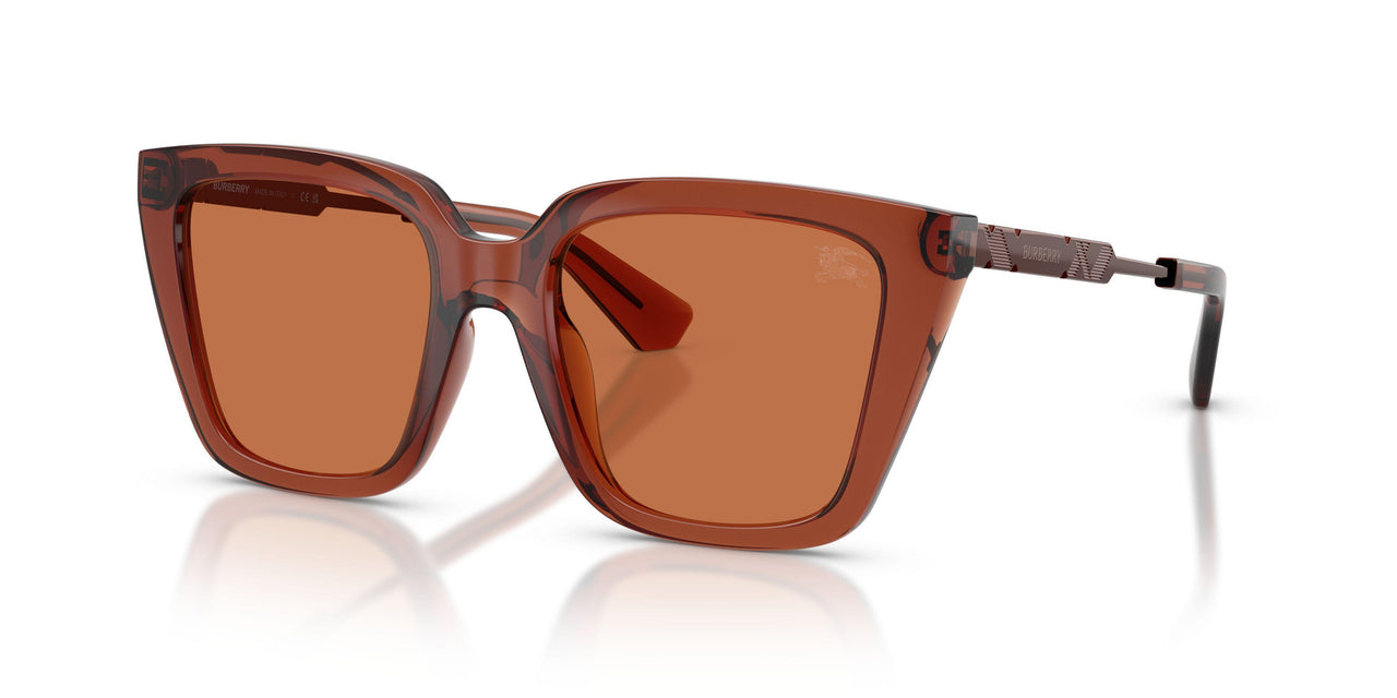 419573 - Brown - Brown