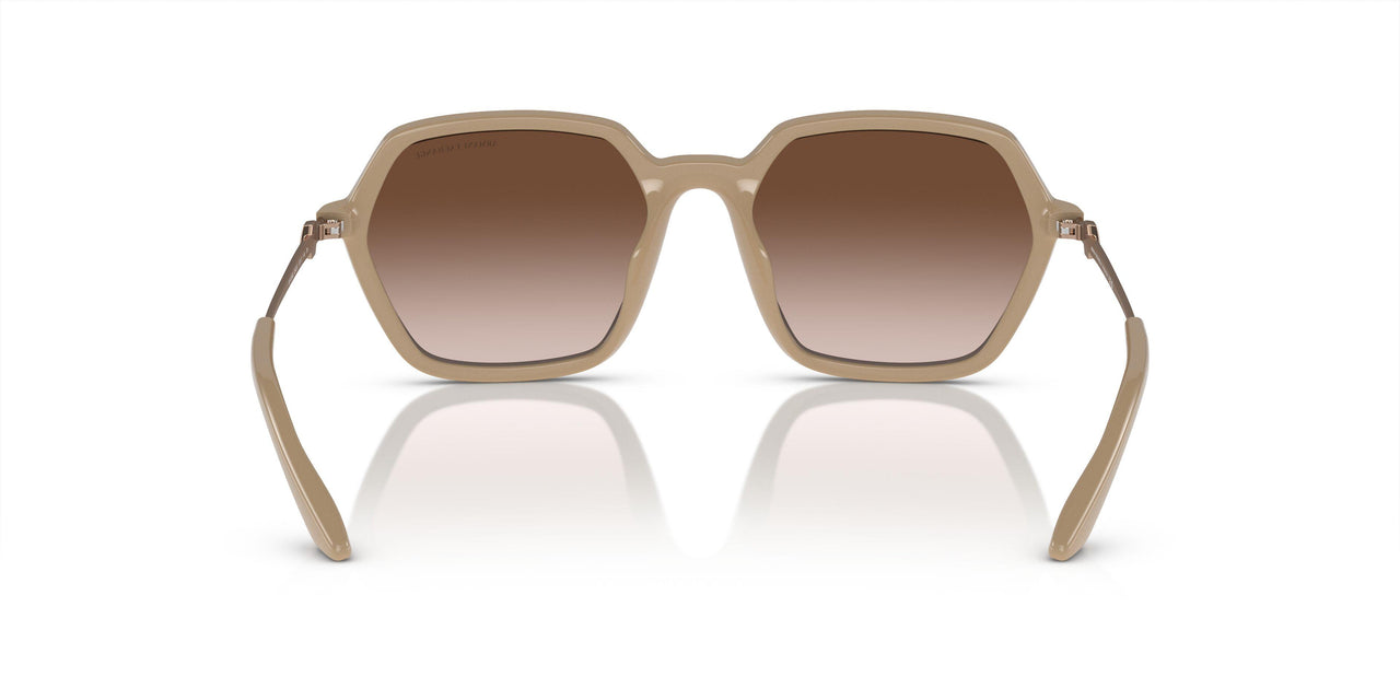 834213 - Brown - Gradient Brown
