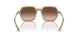 834213 - Brown - Gradient Brown