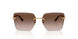 302313 - Gold - Gradient Brown