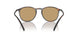 508973 - Tortoise - Dark Brown