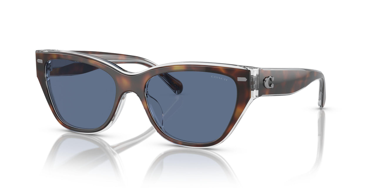 574280 - Tortoise - Blue Solid