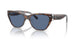 574280 - Tortoise - Blue Solid