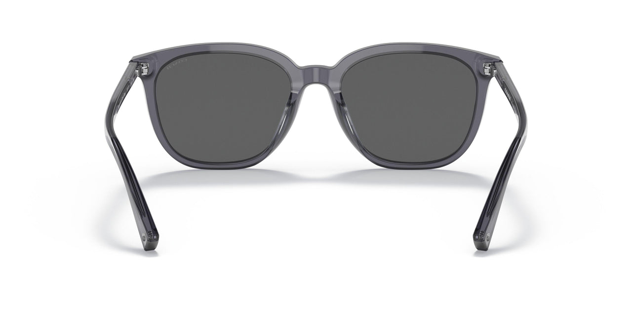 553787 - Clear - Dark Grey Solid