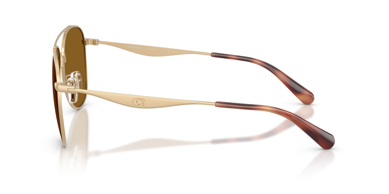 900583 - Gold - Brown Solid Polar