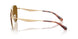 900583 - Gold - Brown Solid Polar
