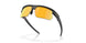 940030 - Black - Prizm 24k Polarized