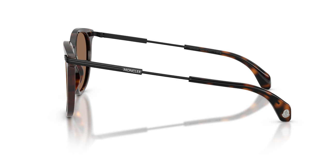 300273 - Tortoise - Solid Brown