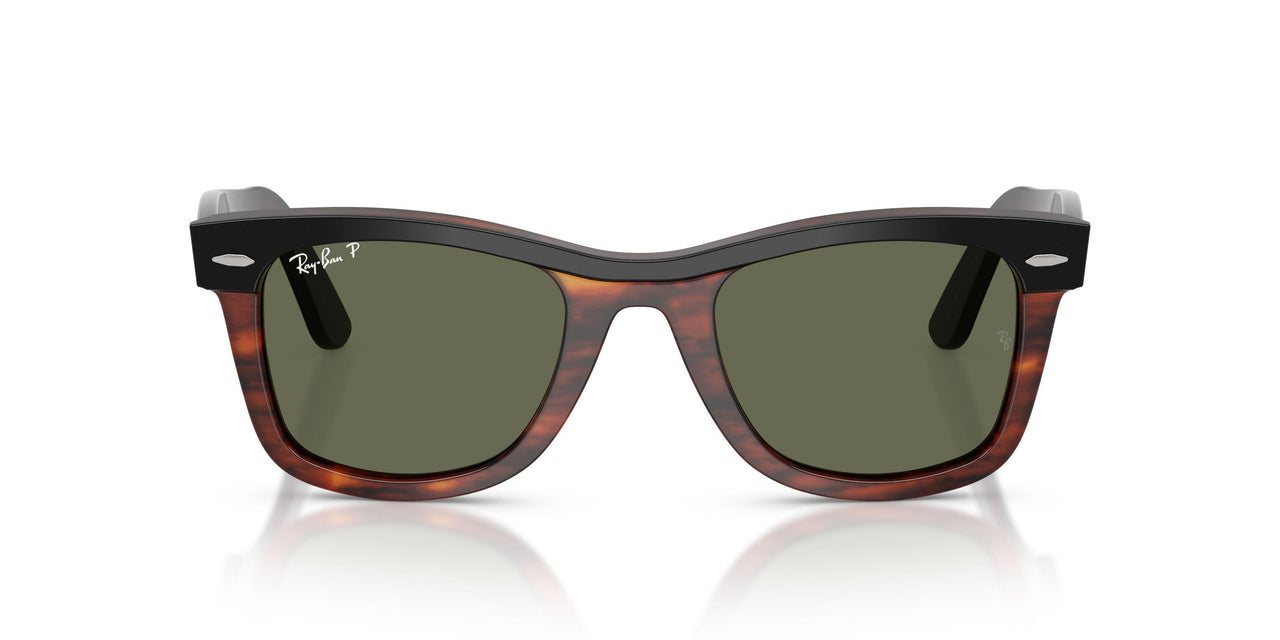 144058 - Black - Polarized Green