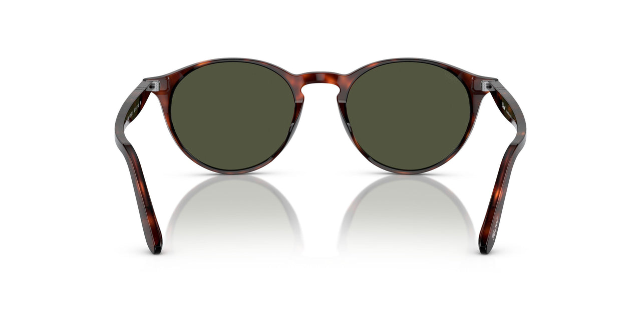 901531 - Tortoise - Green