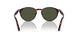 901531 - Tortoise - Green