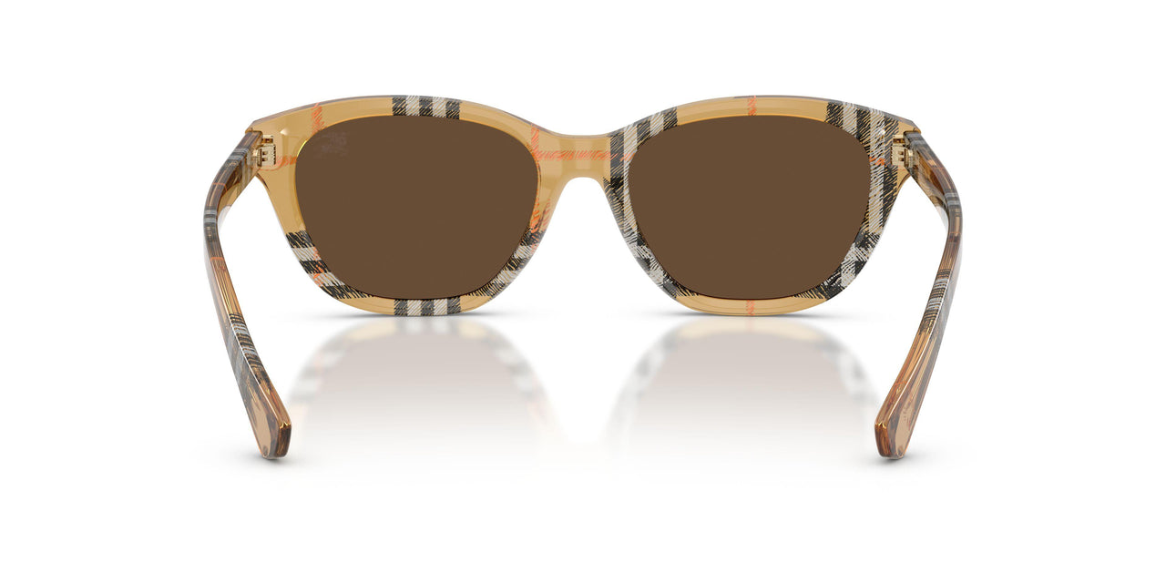 416373 - Brown - Dark Brown