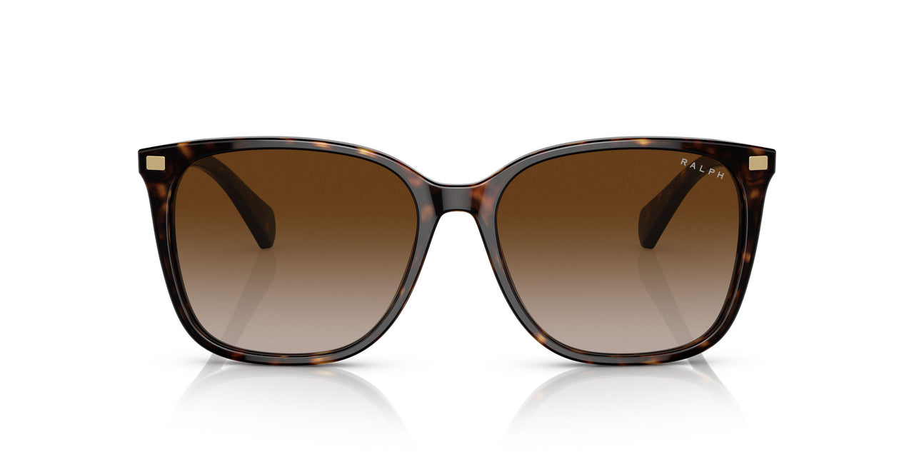 50033B - Havana - Gradient Brown