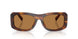 306373 - Tortoise - Bronze