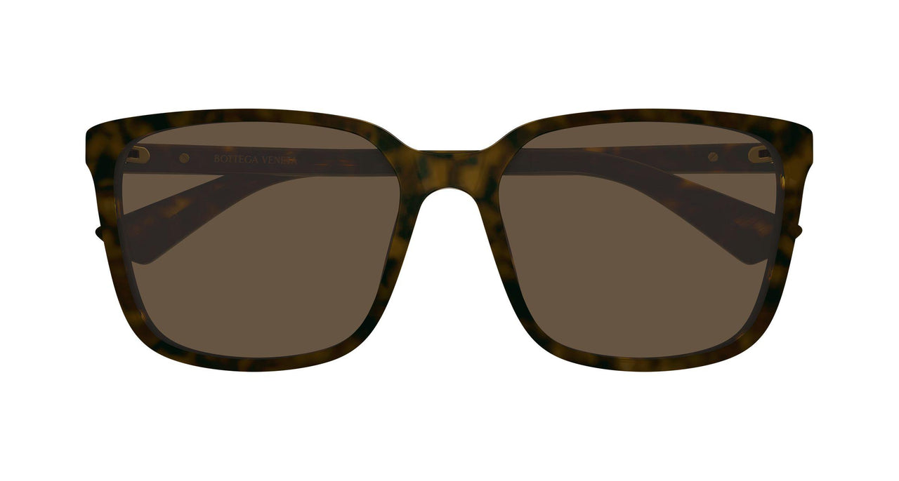 002 - Havana - Brown