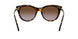 333313 - Havana - Brown Gradient