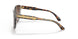 310213 - Havana - Brown Gradient