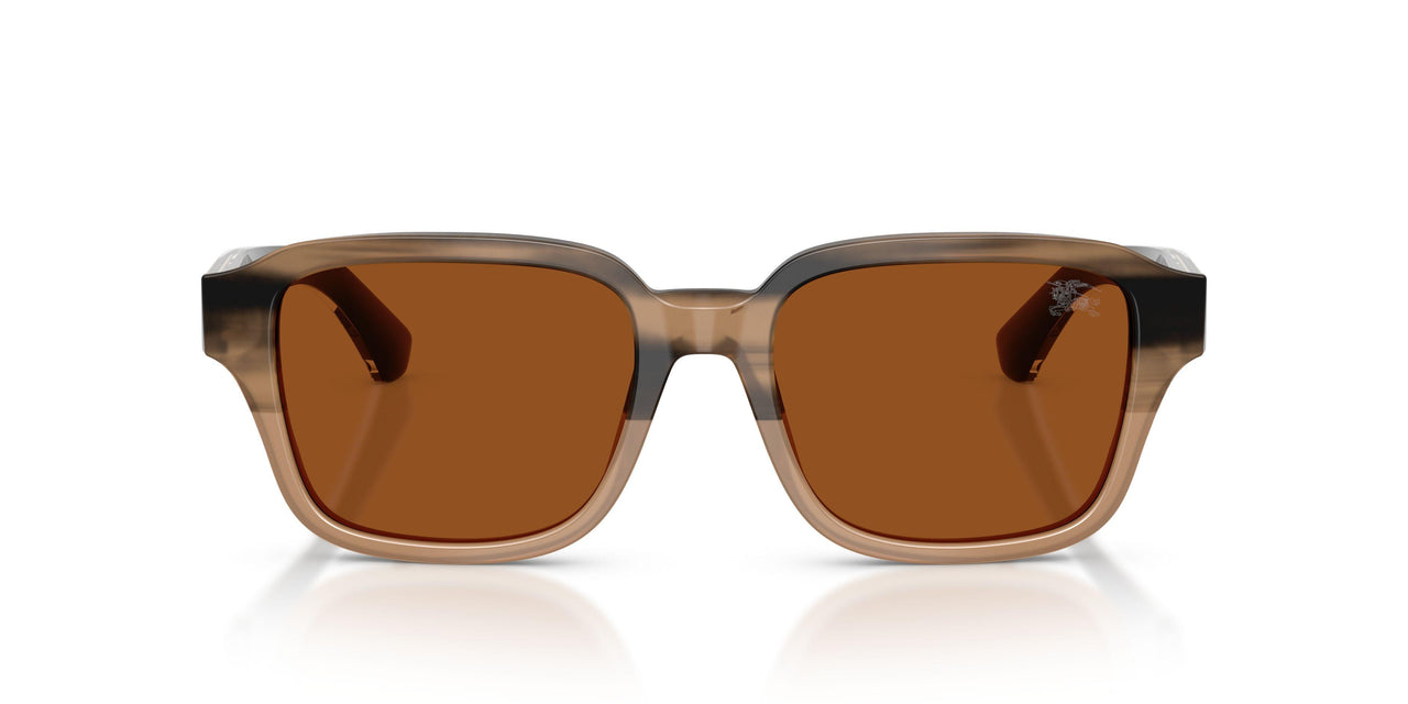 420773 - Beige - Dark Brown