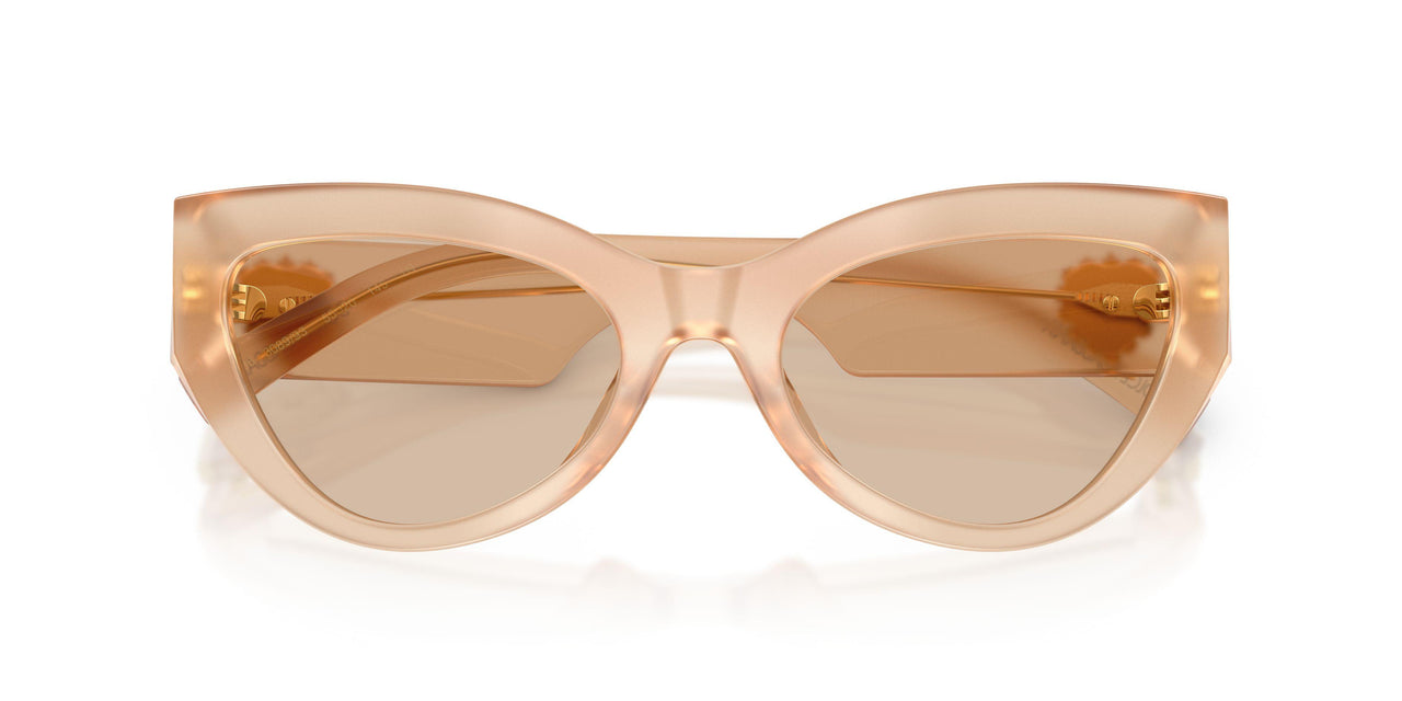 308993 - Brown - Light Brown