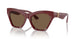 411973 - Red - Dark Brown