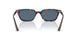 135980 - Tortoise - Dark Blue