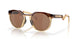 924207 - Brown - Prizm Tungsten