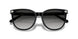 50023C - Black - Grey Gradient