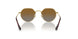 223/T5 - Gold - Grey Gradient Brown Polar