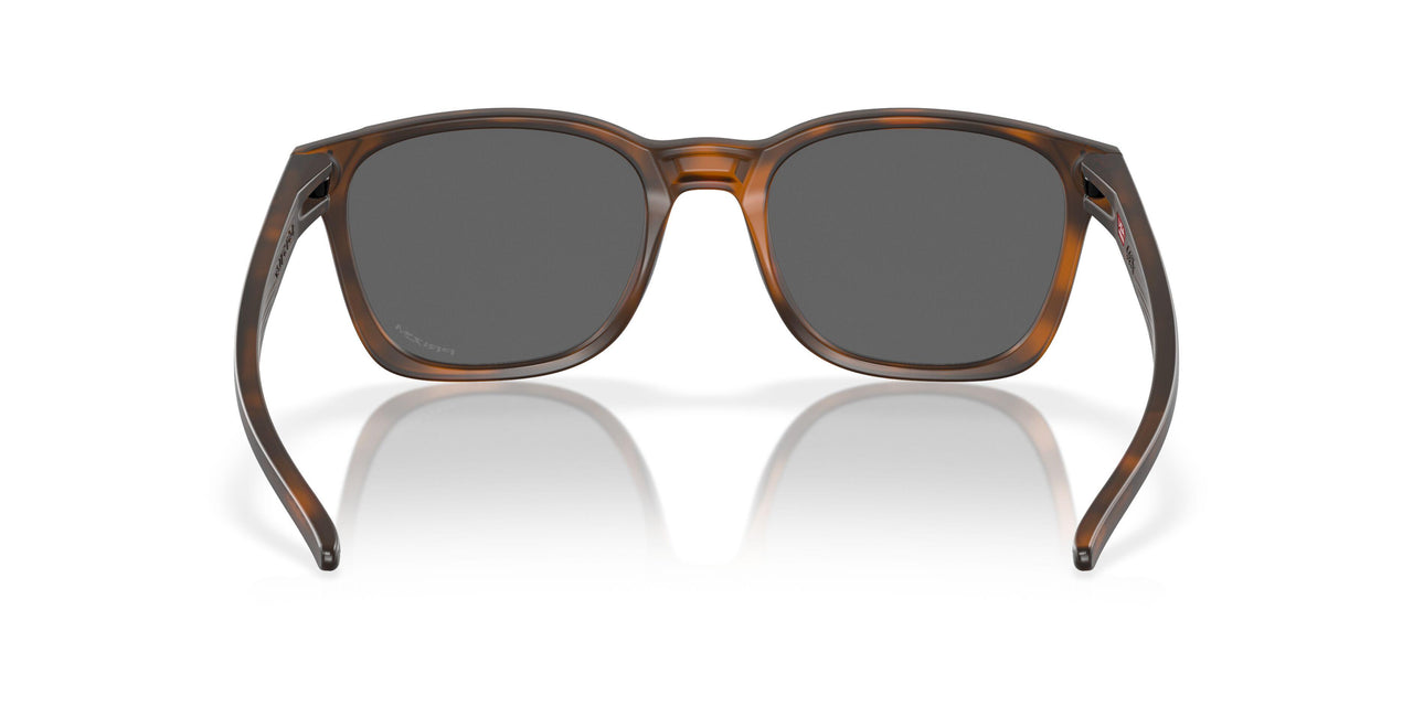 901818 - Brown - Prizm Black