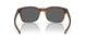 901818 - Brown - Prizm Black