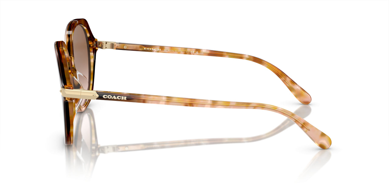 57753C - Brown - Brown Pink Gradient