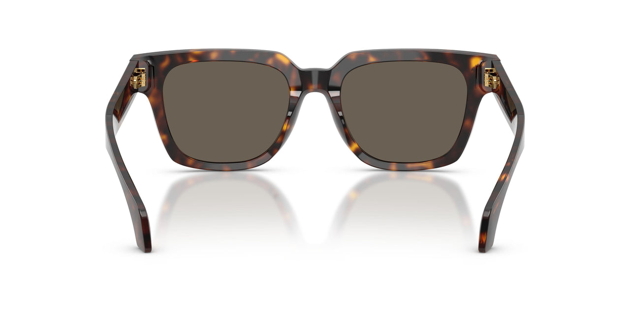 108/3 - Tortoise - Brown