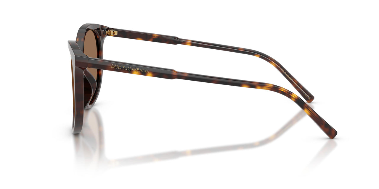 502/13 - Tortoise - Dark Brown