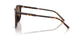 502/13 - Tortoise - Dark Brown