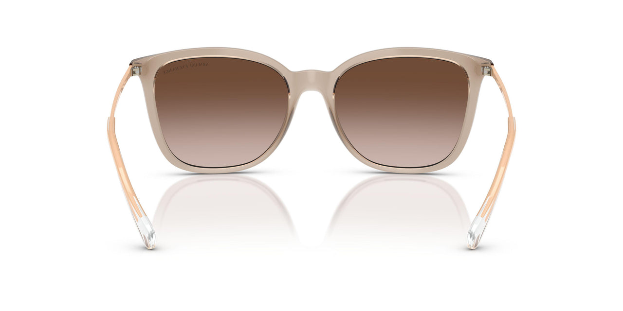 836613 - Brown - Gradient Brown
