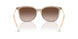 836613 - Brown - Gradient Brown