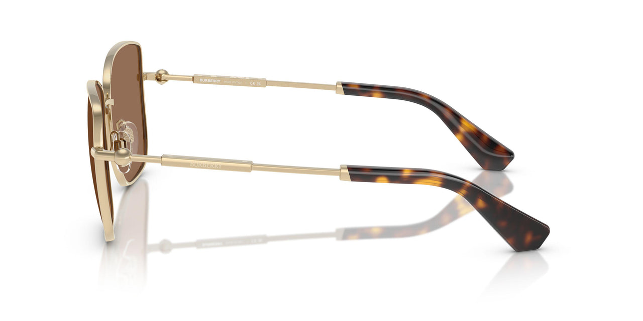 110973 - Gold - Dark Brown