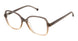 S403 - GREY HONEY