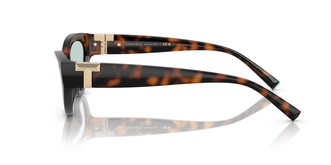 8429D9 - Tortoise - Light Azure