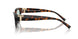 8429D9 - Tortoise - Light Azure