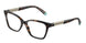 8015 - Tortoise