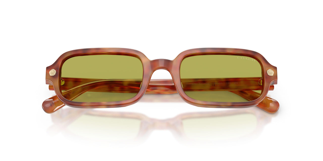 5774/2 - Tortoise - Pistachio
