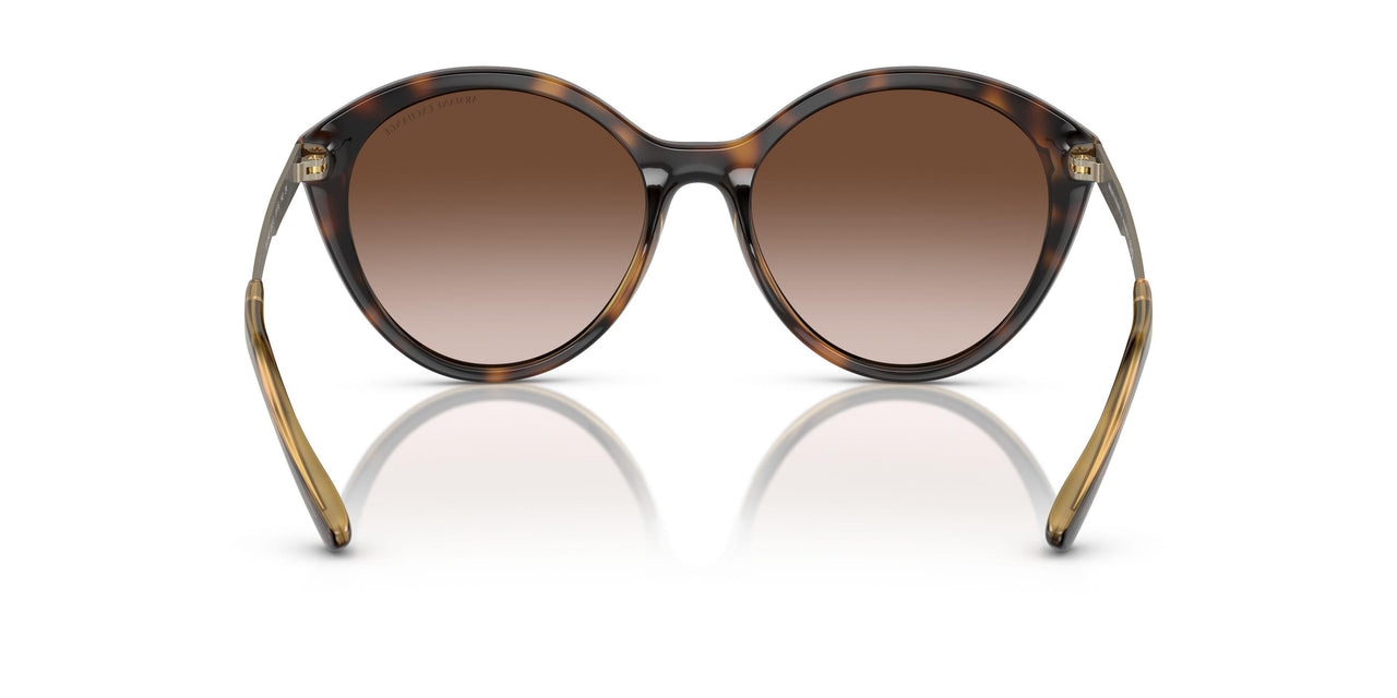 821313 - Tortoise - Gradient Brown