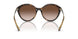 821313 - Tortoise - Gradient Brown