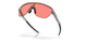 924811 - Grey - Prizm Peach